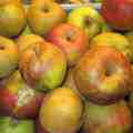 appels