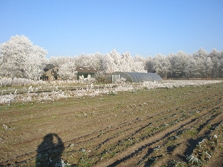 winter op de akker in orvelte