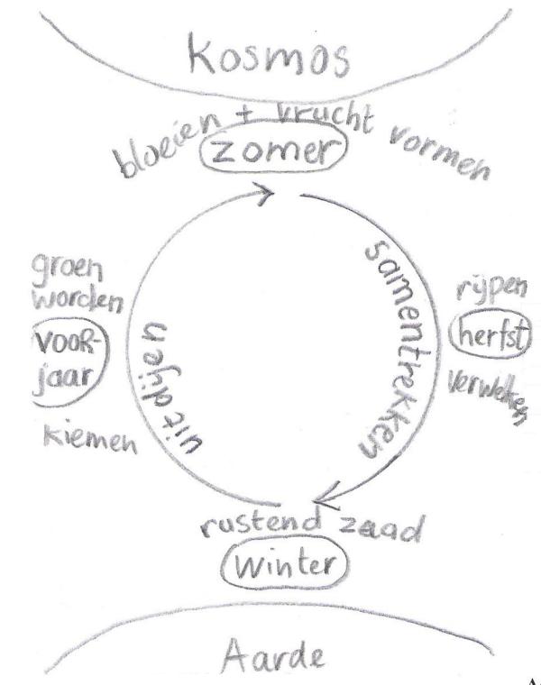 schema kosmos aarde