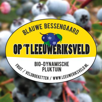 Blauwe Bessen Gaard Op 't Leeuweriksveld