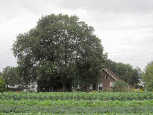 boerderij leeuweriksveld