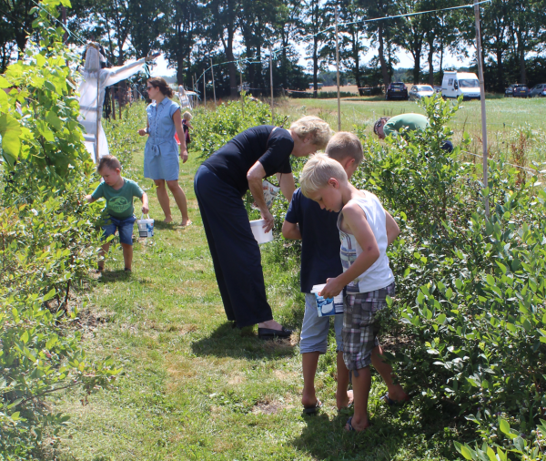 open dag blauwe bessengaard