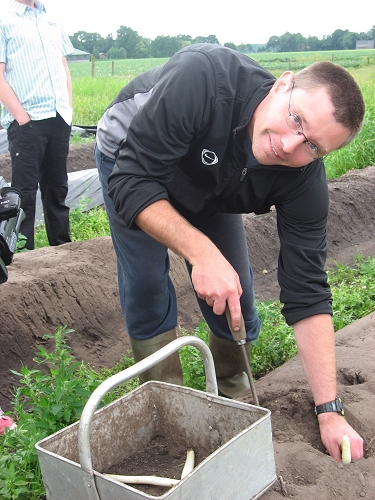 demonstratie asperges steken